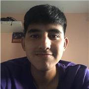 Estudiante y profesor de cualquier asignatura, hasta Bachillerato, bastante experiencia dando clases online, presencial o por web cam, disponibilidad en cualquier momento y muy responsable